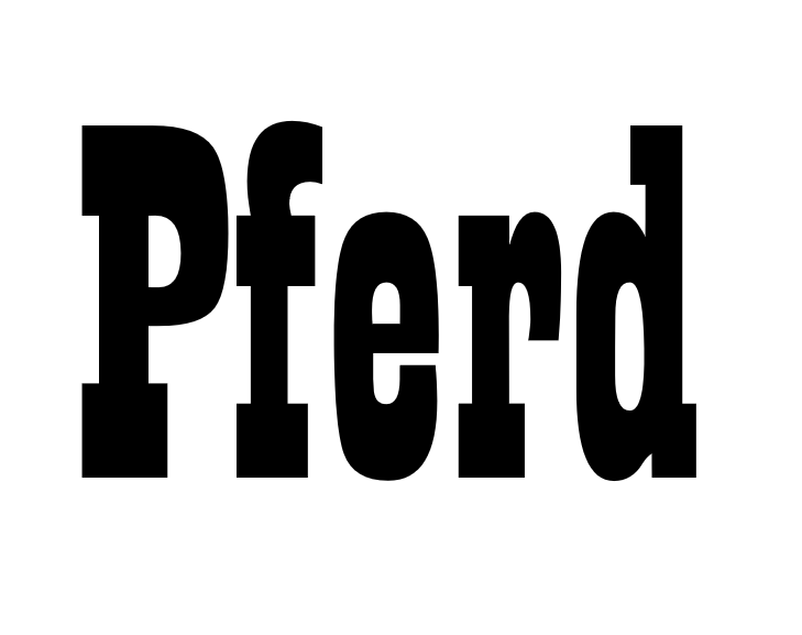 Pferd_wanted Pferd Western