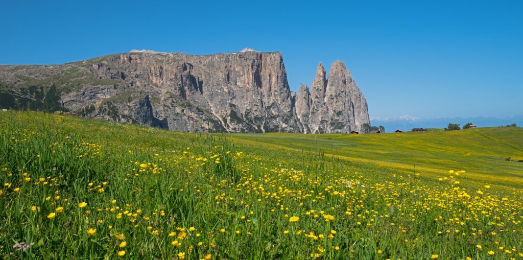 hintergrundbankberg Berge und Alm